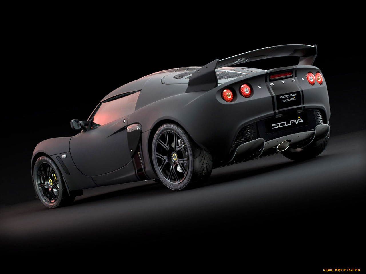 , lotus